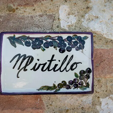 Holiday home Casa Crete Senesi Mirtillo Nel Podere Di Sant'antonio Asciano